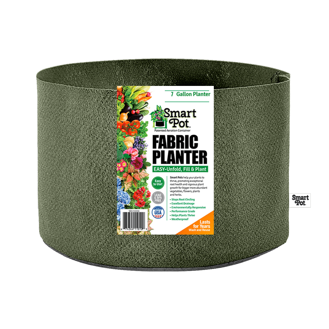 Smart Pot Fabric Planter 7 Gallon Forest Green Without Handles | Heirloom Boulevard
