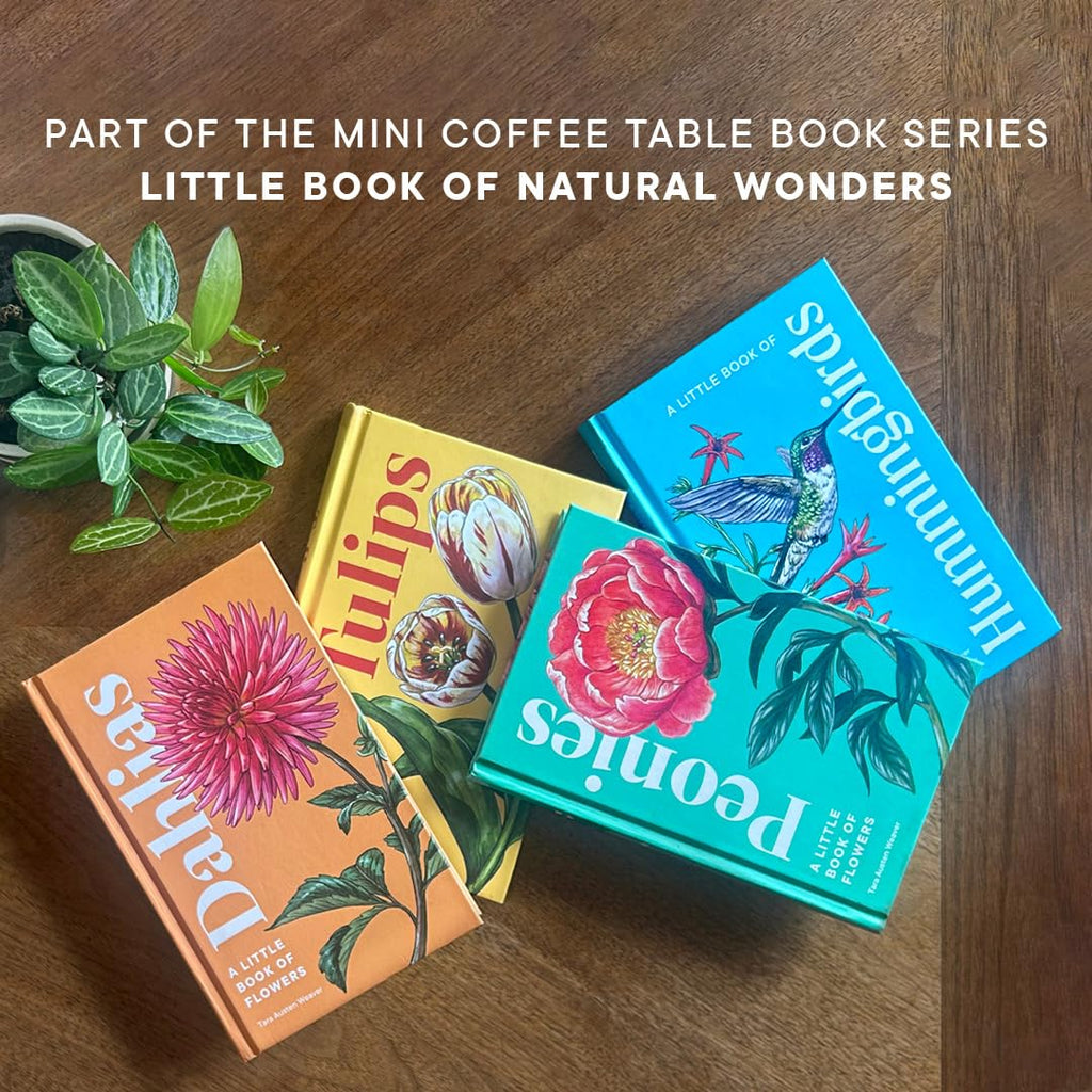 Little Book of Hummingbirds | Heirloom Boulevard