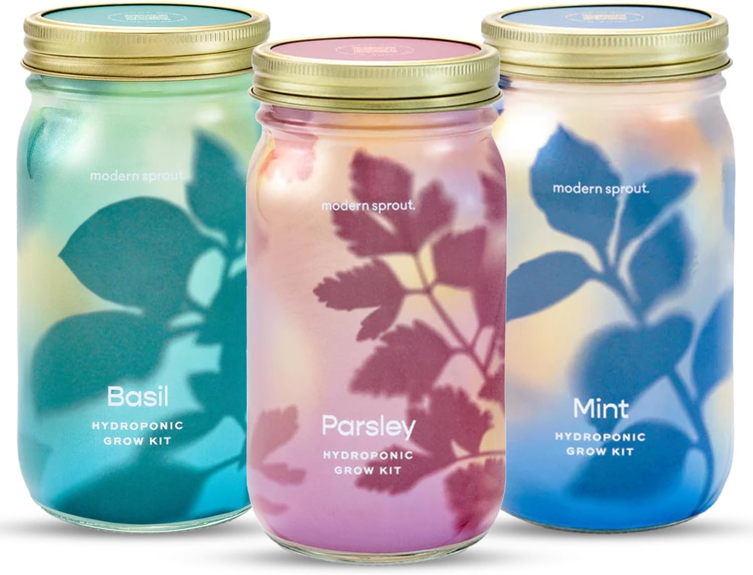 Modern Sprout Garden Jars - Organic Herbs