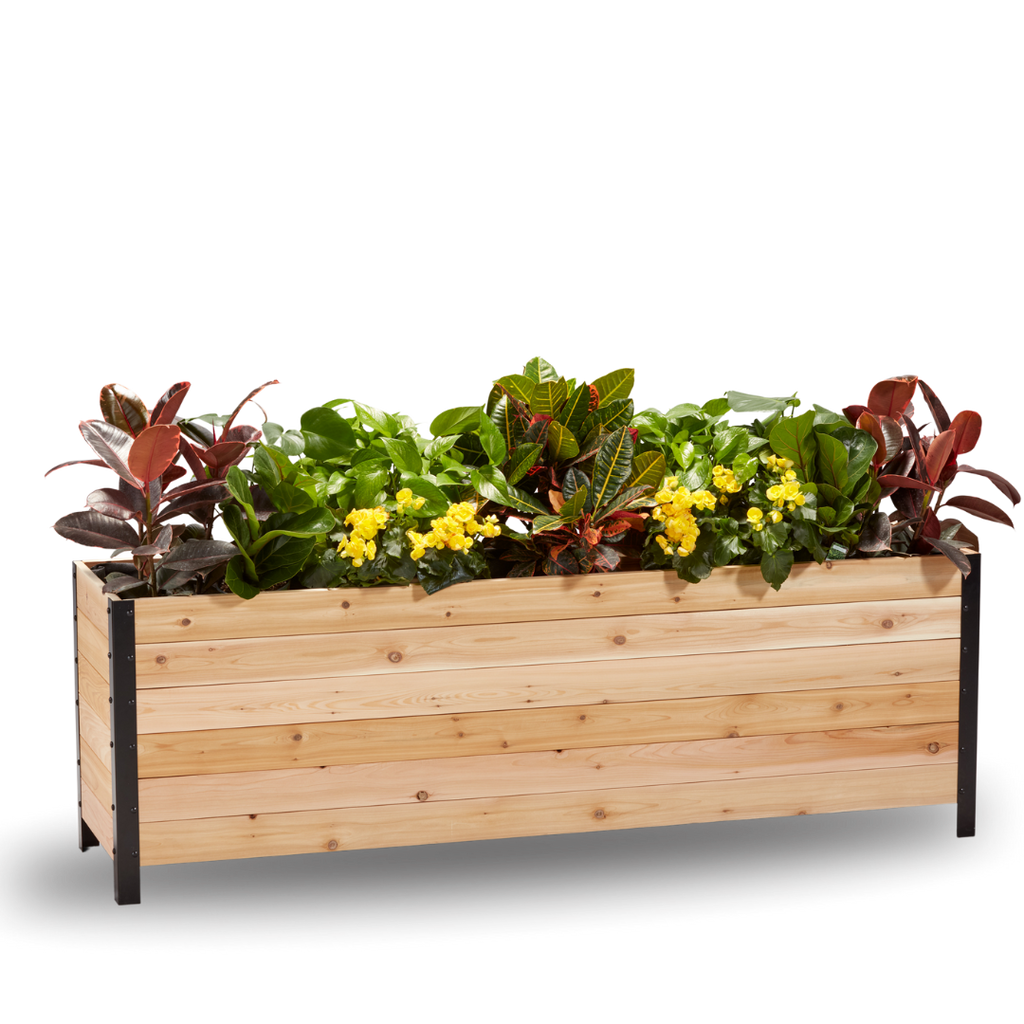 Cedar Planters 18" x 72" Planter Box - 24" TALL | Heirloom Boulevard