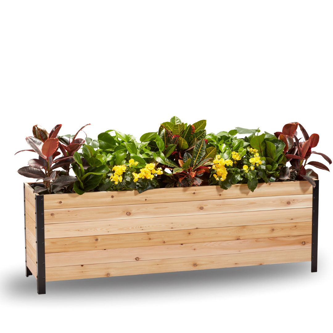 Cedar Planters 18" x 72" Planter Box - 24" TALL | Heirloom Boulevard
