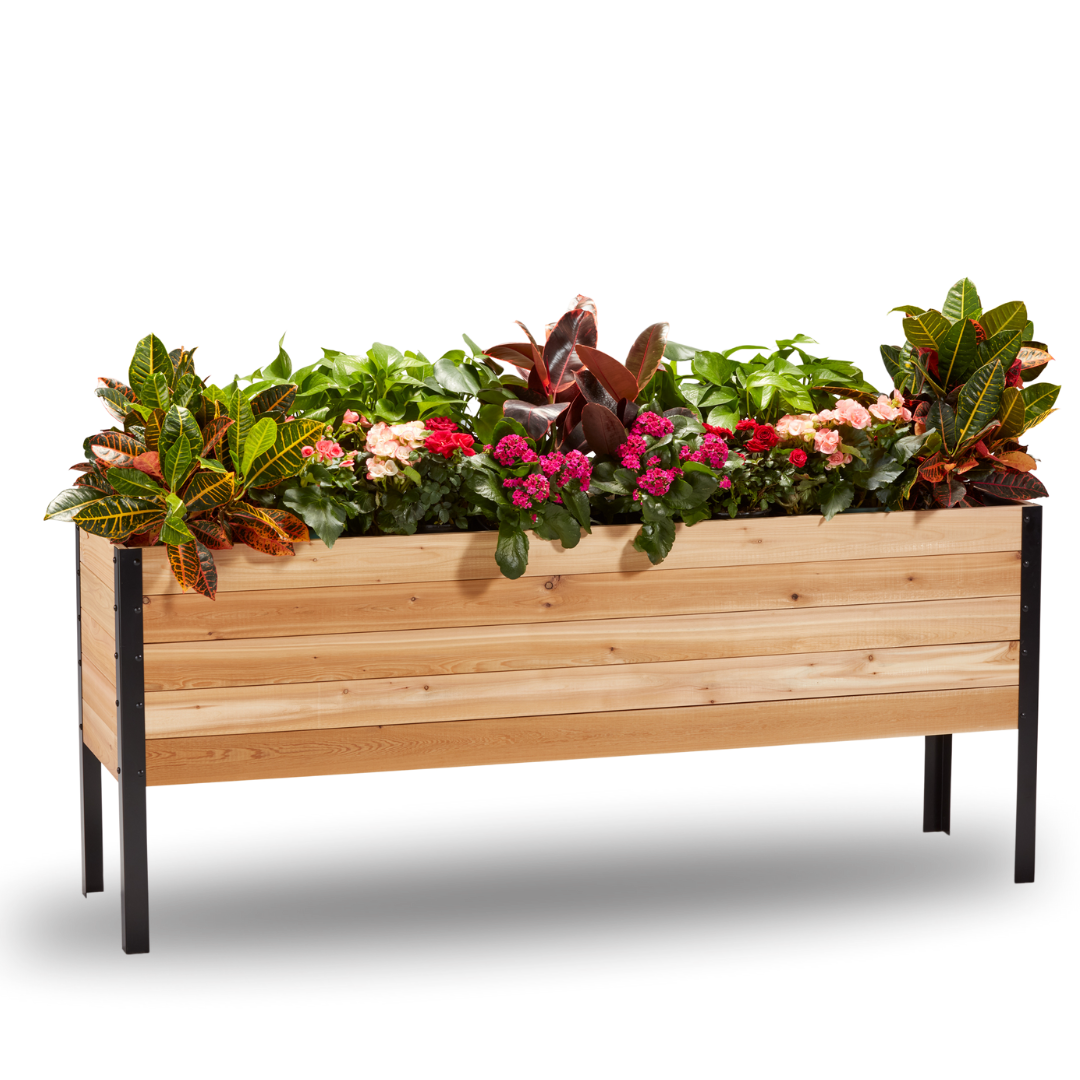 Cedar Planters 18" x 72" Raised Garden Bed - 30" TALL | Heirloom Boulevard