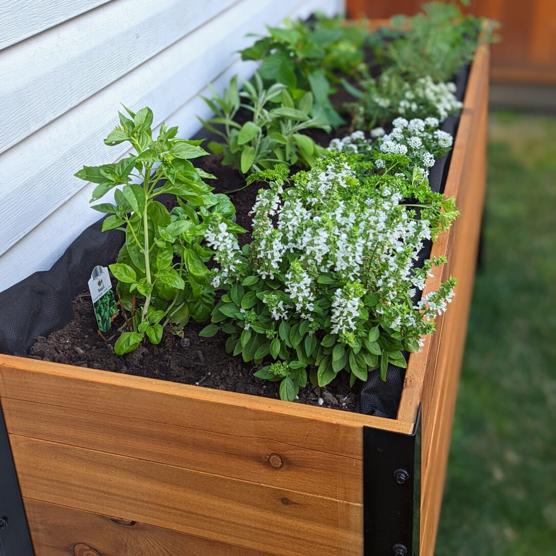 Cedar Planters 18" x 72" Planter Box - 24" TALL | Heirloom Boulevard