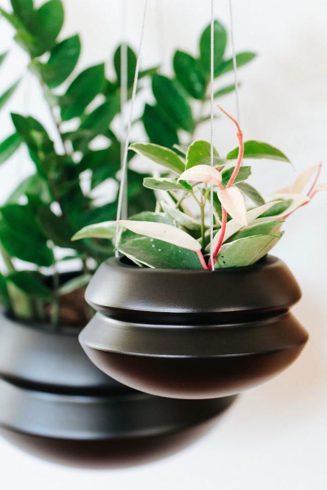 Carter + Rose Halo Hanging Planter Carter + Rose | Heirloom Boulevard