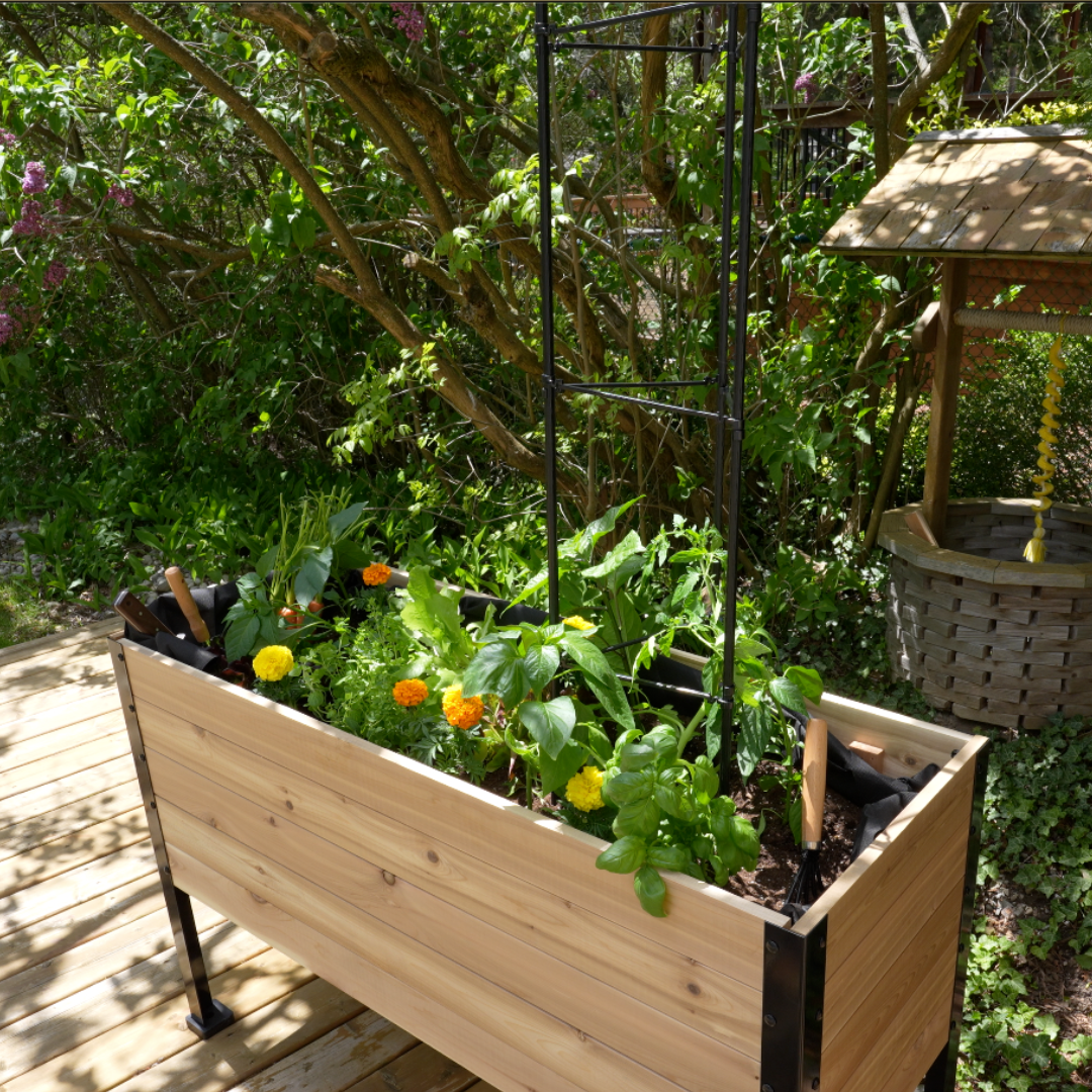 Cedar Planters Vegetable Cage | Heirloom Boulevard