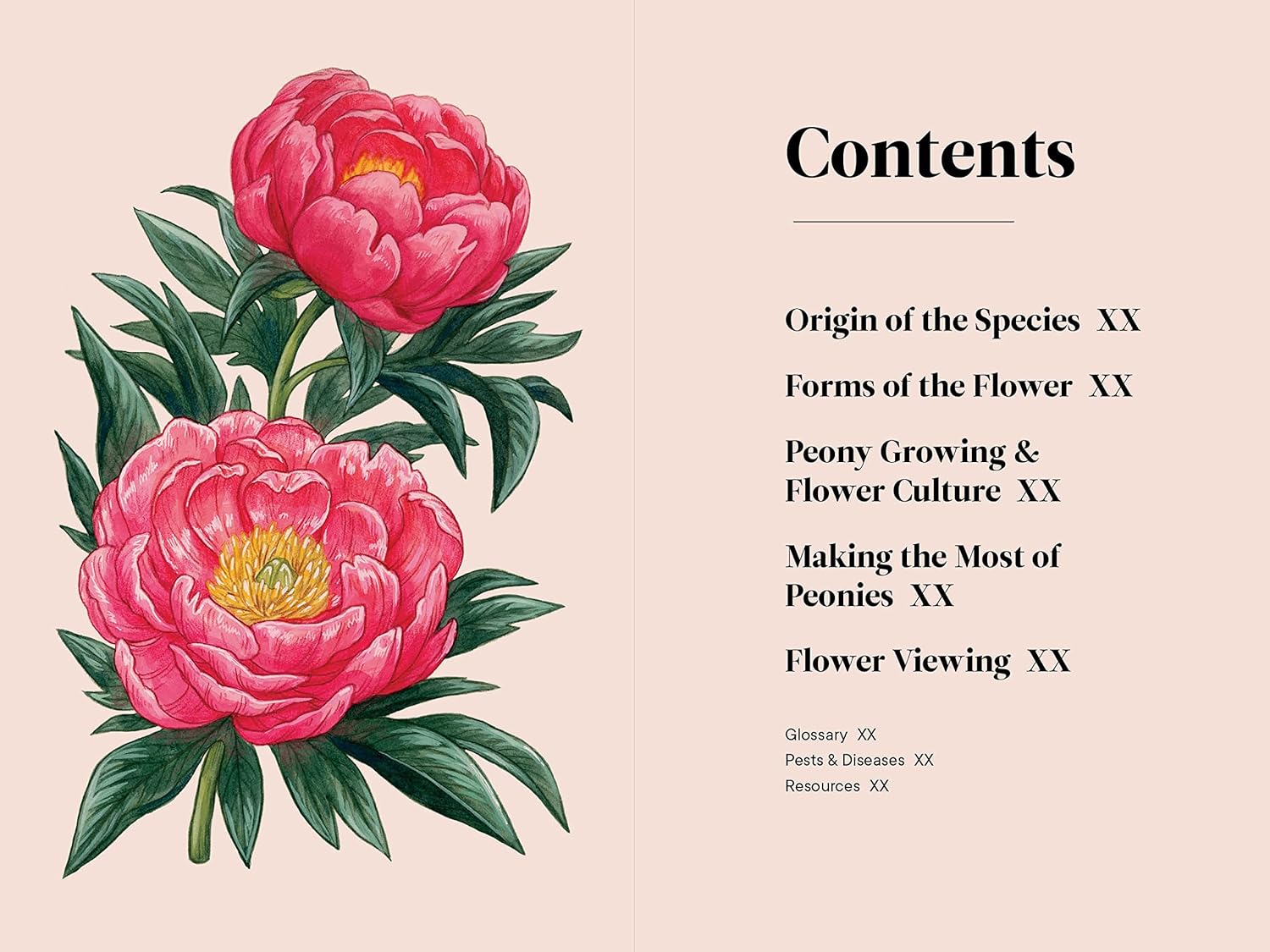 Little Book of Peonies | Heirloom Boulevard