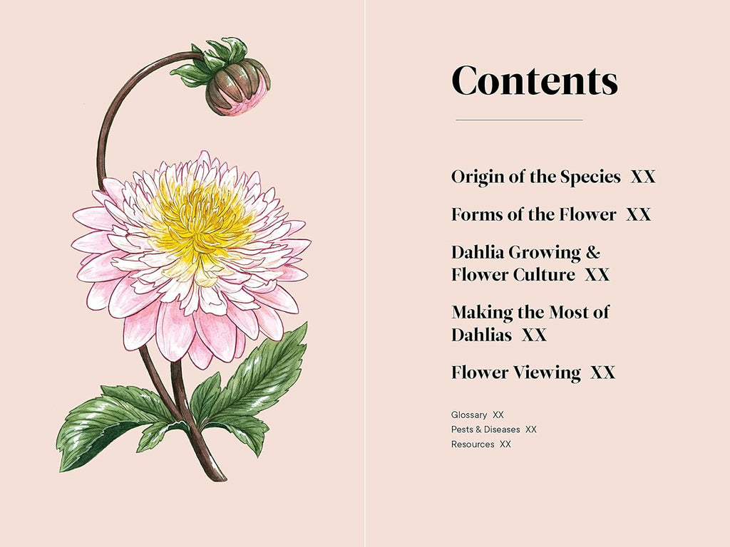 Little Book of Dahlias | Heirloom Boulevard