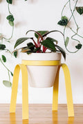 Perch Metal Plant Stand Electric Yellow Porcelain | Heirloom Boulevard