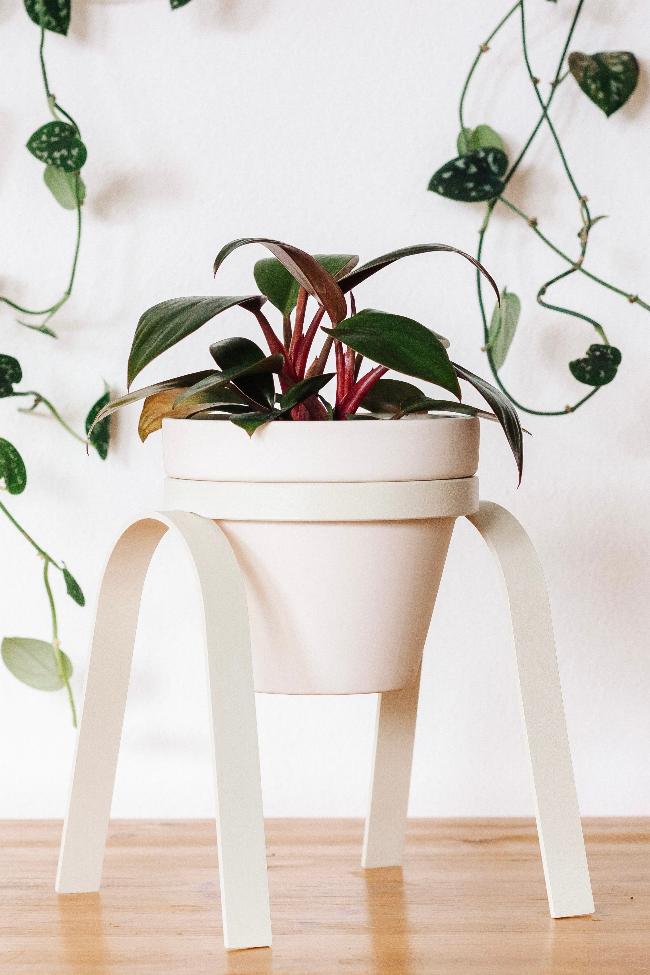 Perch Metal Plant Stand Carter + Rose | Heirloom Boulevard