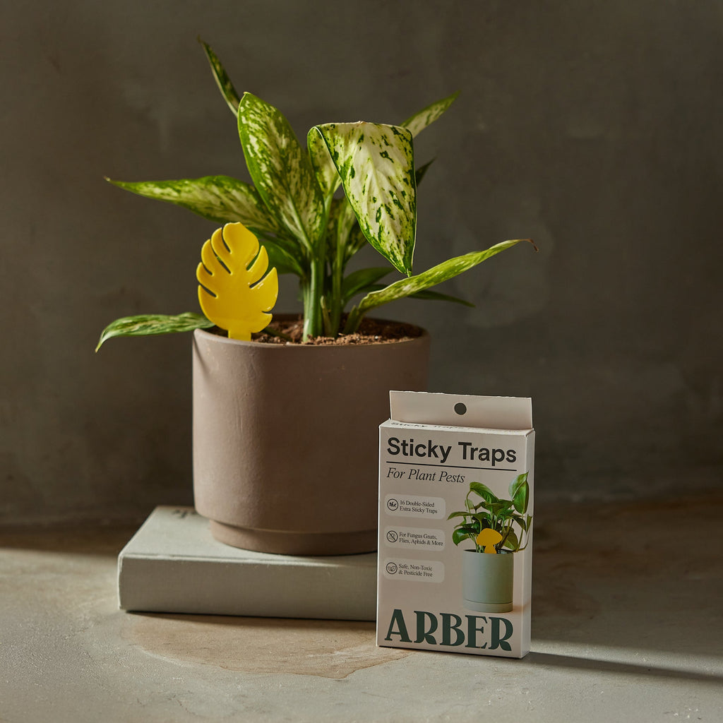 Arber Sticky Traps for Plant Pests | Heirloom Boulevard