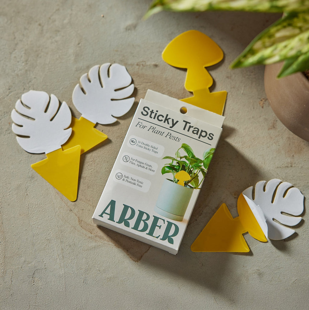 Arber Sticky Traps for Plant Pests | Heirloom Boulevard