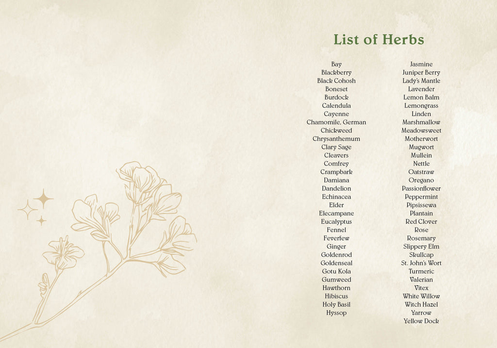 Wild Medicine | Heirloom Boulevard