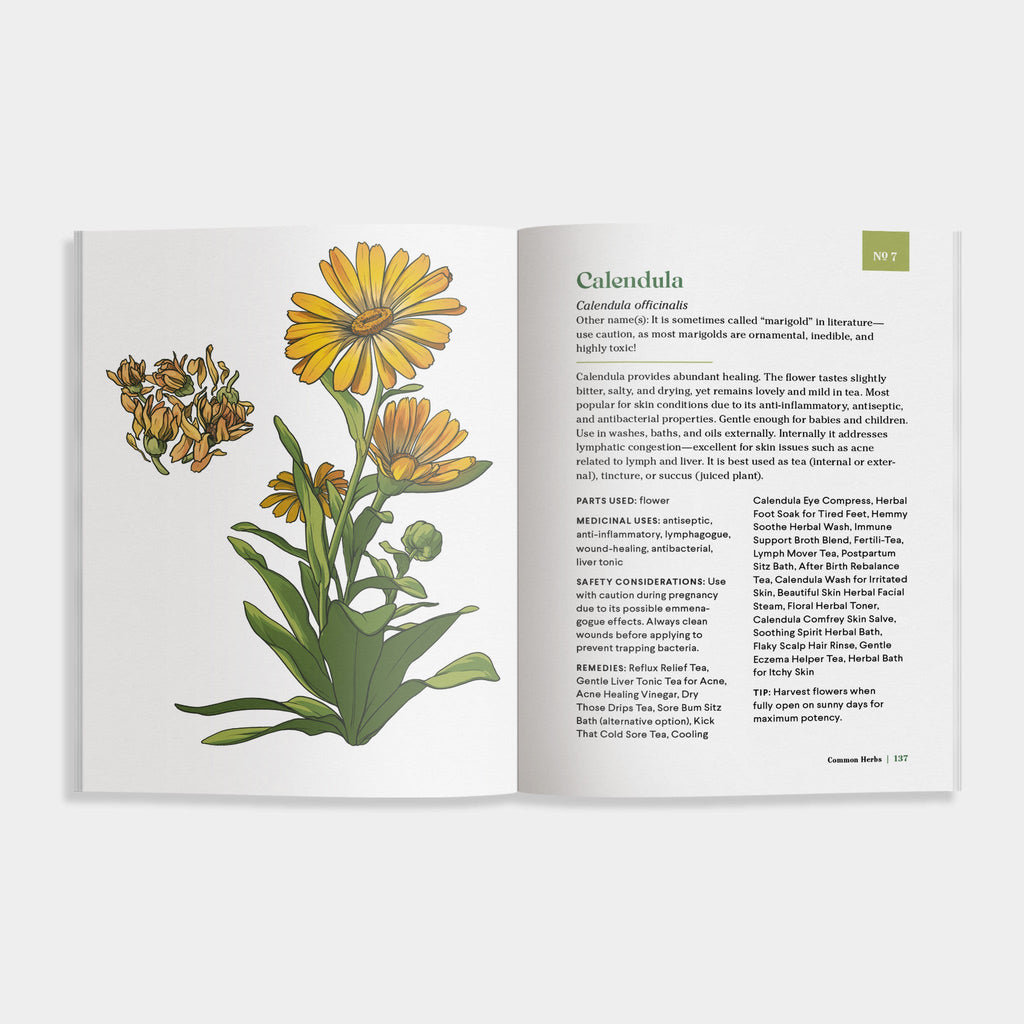 The Little Encyclopedia of Herbal Medicine | Heirloom Boulevard