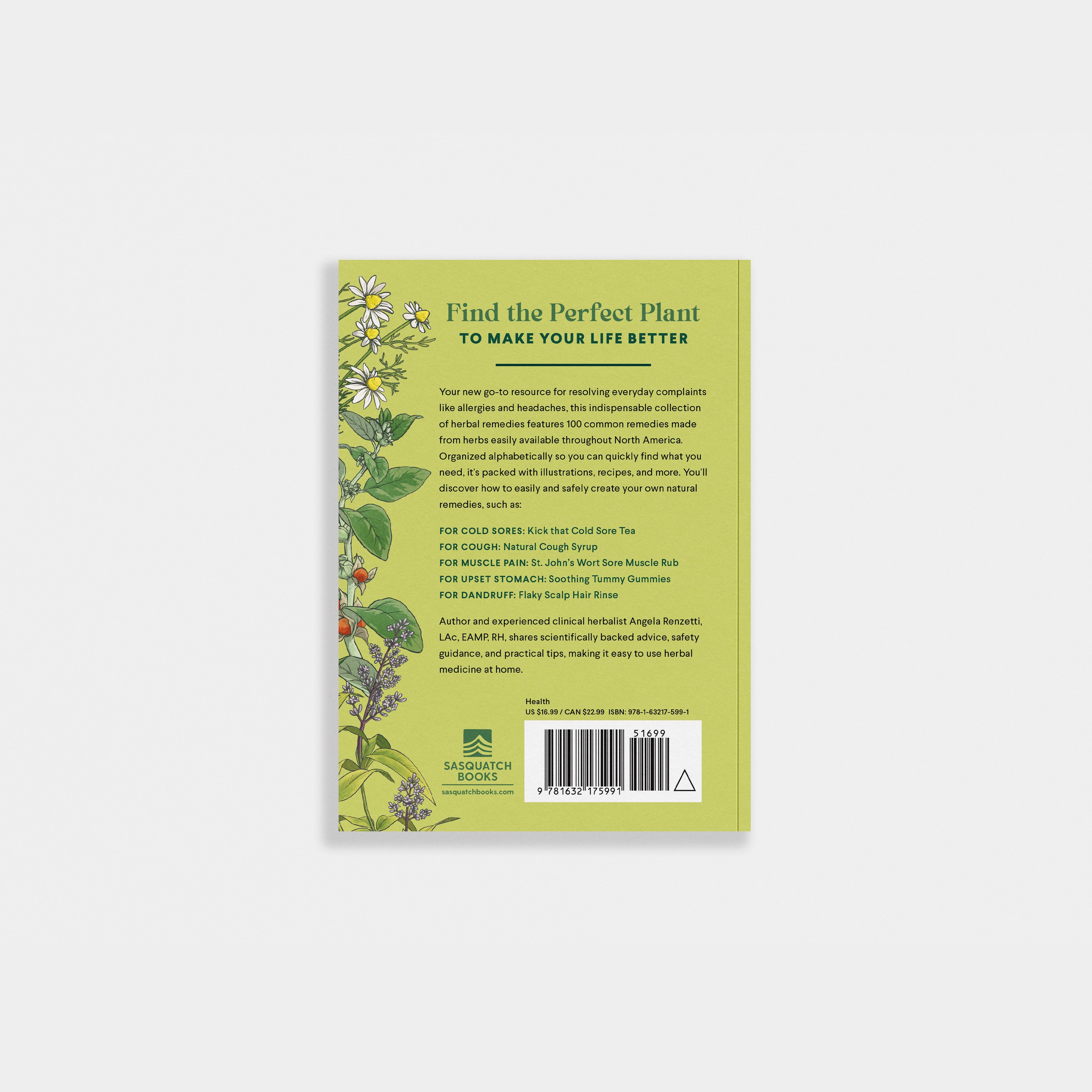 The Little Encyclopedia of Herbal Medicine | Heirloom Boulevard
