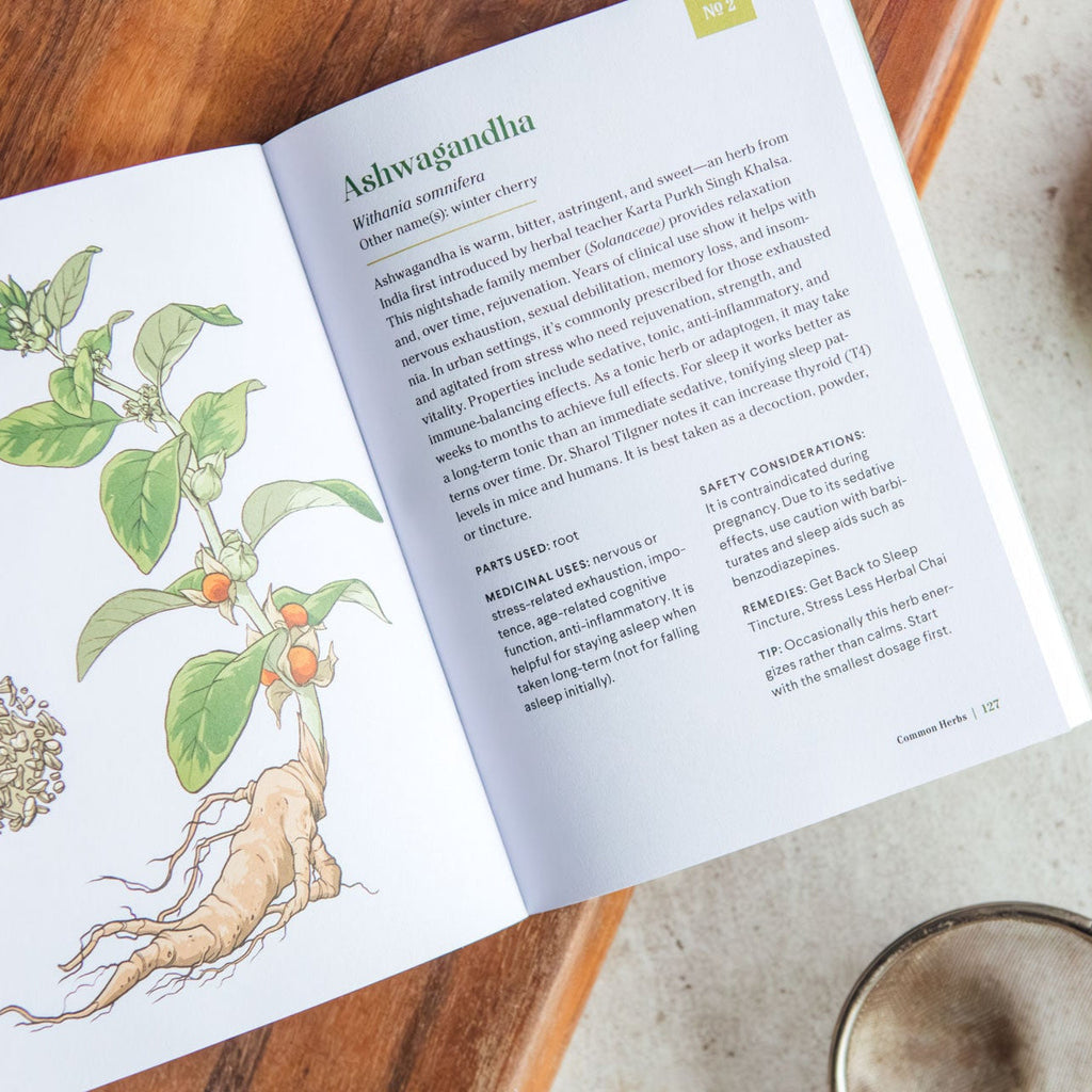 The Little Encyclopedia of Herbal Medicine | Heirloom Boulevard