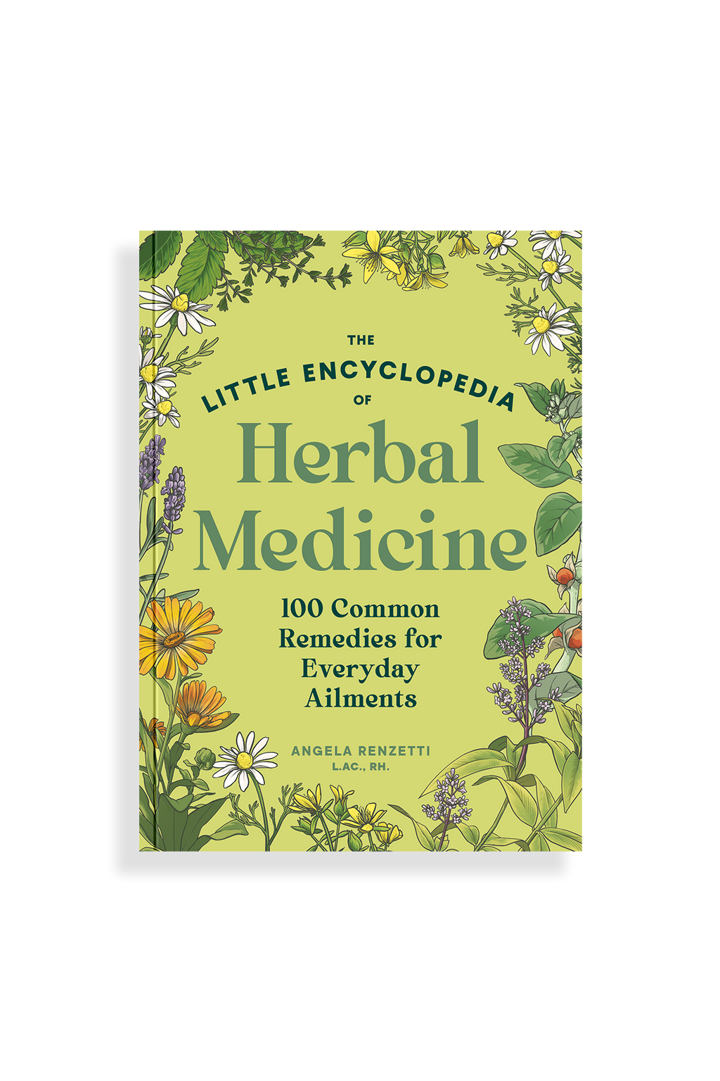 The Little Encyclopedia of Herbal Medicine | Heirloom Boulevard