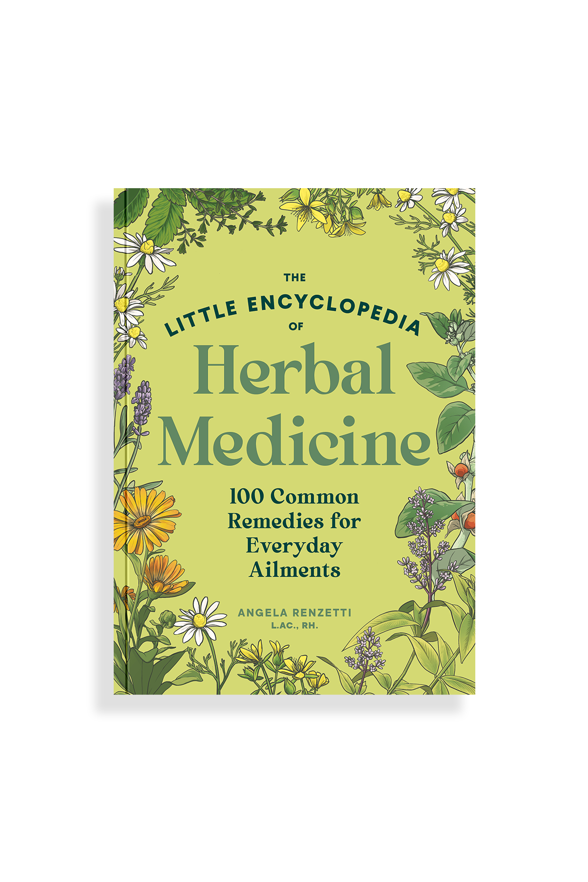 The Little Encyclopedia of Herbal Medicine | Heirloom Boulevard