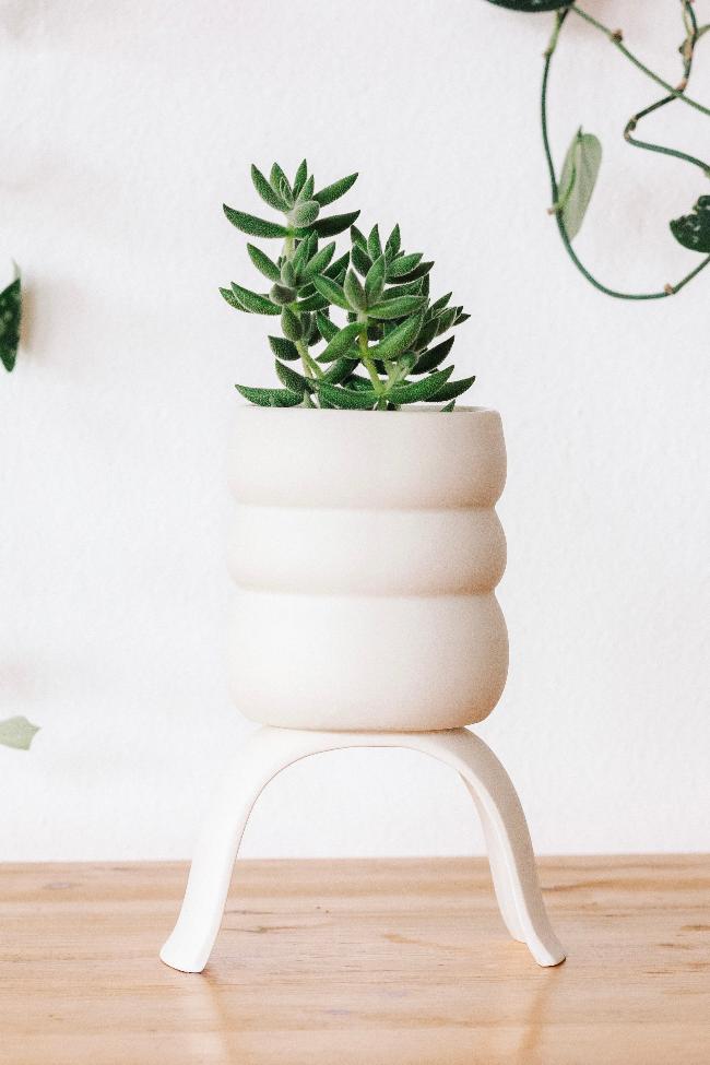 Carter + Rose High Rise Plant Pots Carter + Rose | Heirloom Boulevard