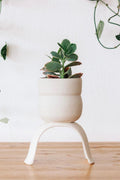 Carter + Rose High Rise Plant Pots Small Wiggle | Heirloom Boulevard