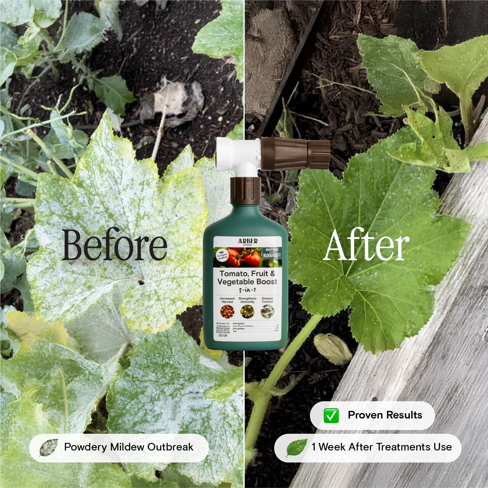 Arber Organic Tomato, Fruit & Vegetable Boost