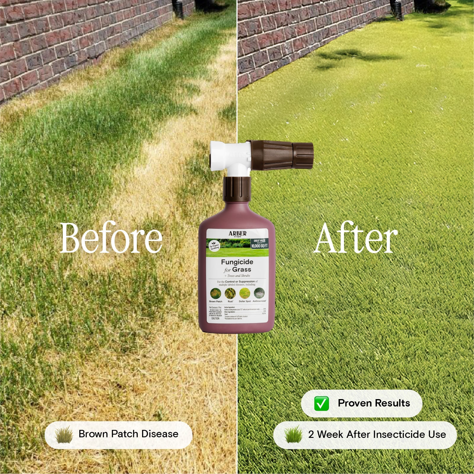 Arber Organic Fungicide for Grass, Trees & Shrubs | Heirloom Boulevard