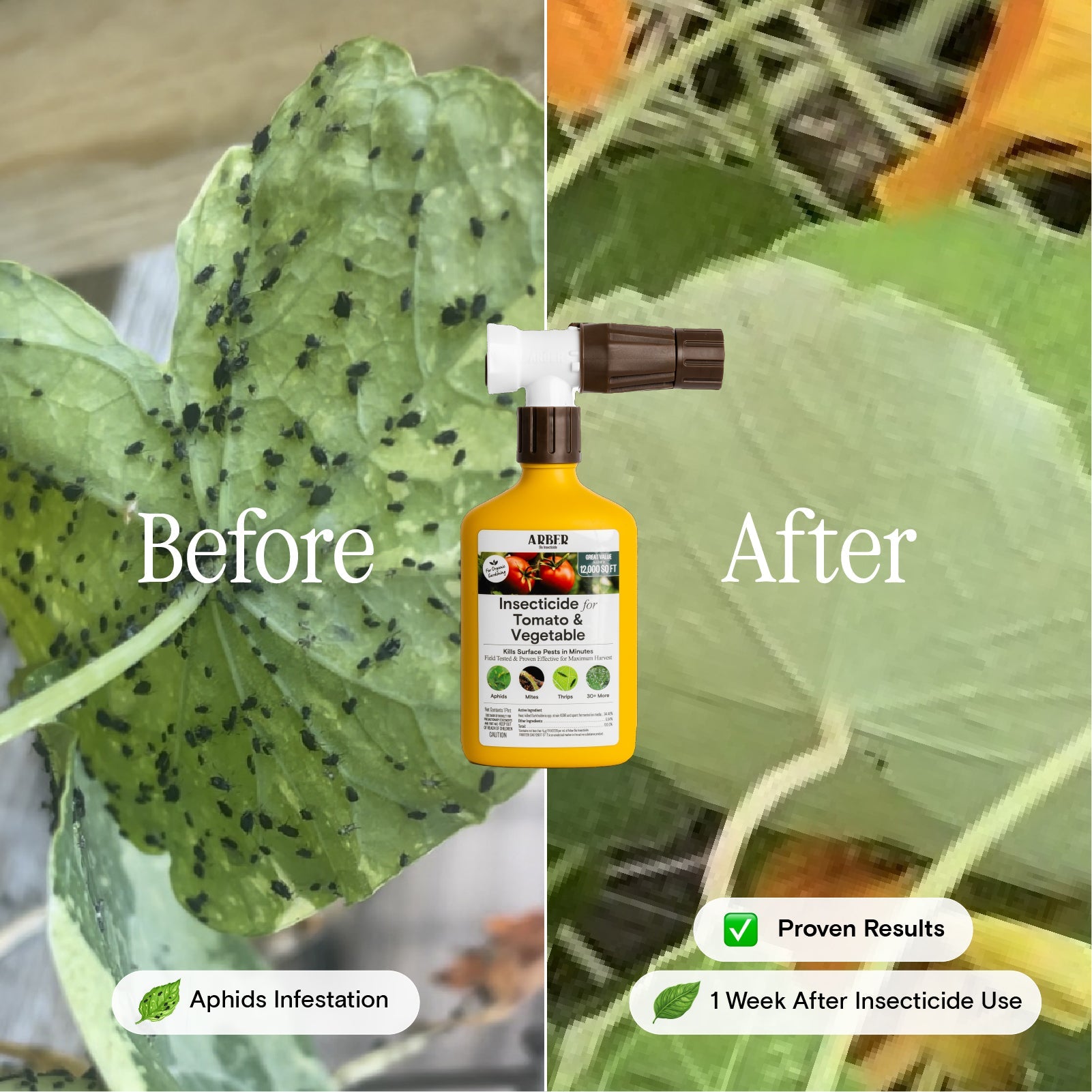 Arber Organic Insecticide for Tomato & Vegetable