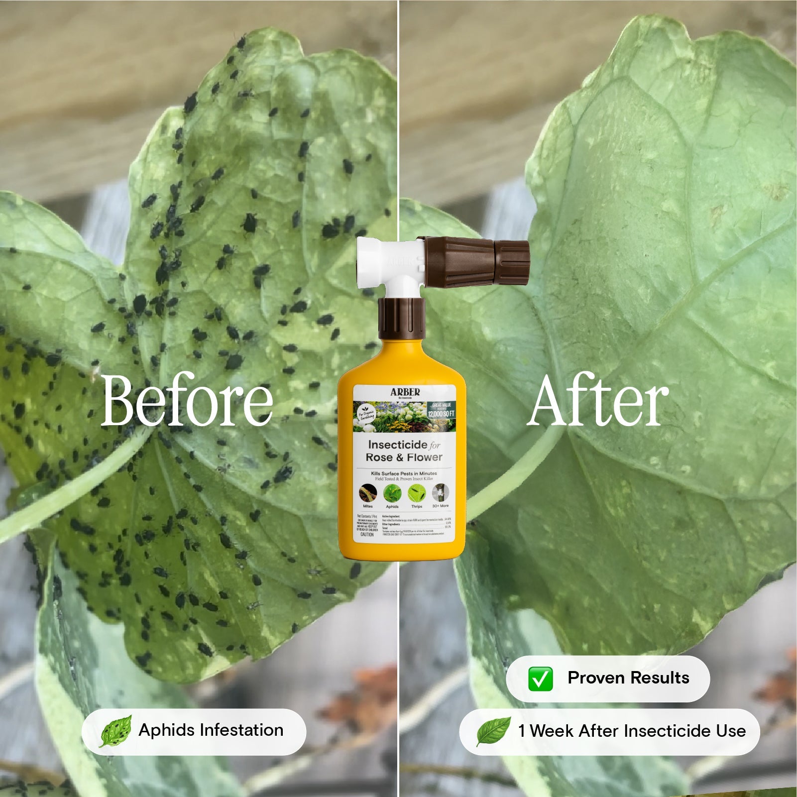 Arber Organic Insecticide for Rose & Flower