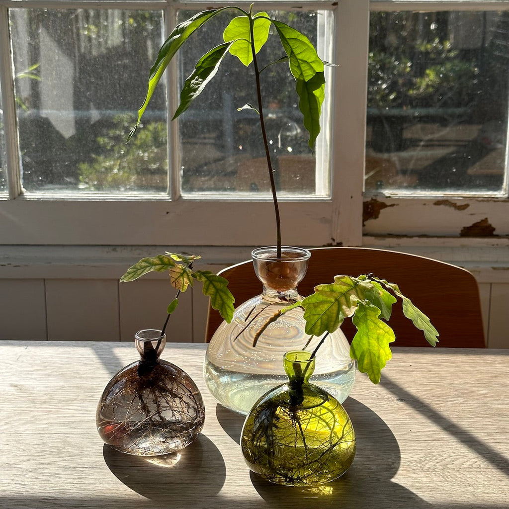 Bloomist Acorn Vase | Heirloom Boulevard