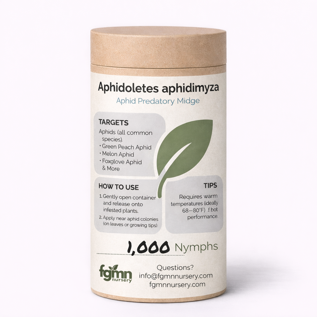 FGMN Nursery Aphidoletes aphidimyza 3X-Large — 1000 Square Feet (1000 Aphidoletes aphidimyza) | Heirloom Boulevard