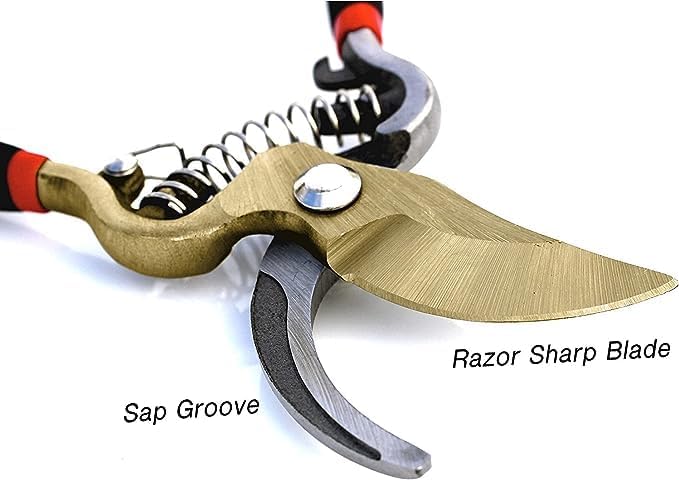 Garden Guru Titanium Bypass Garden Pruner Clippers | Heirloom Boulevard
