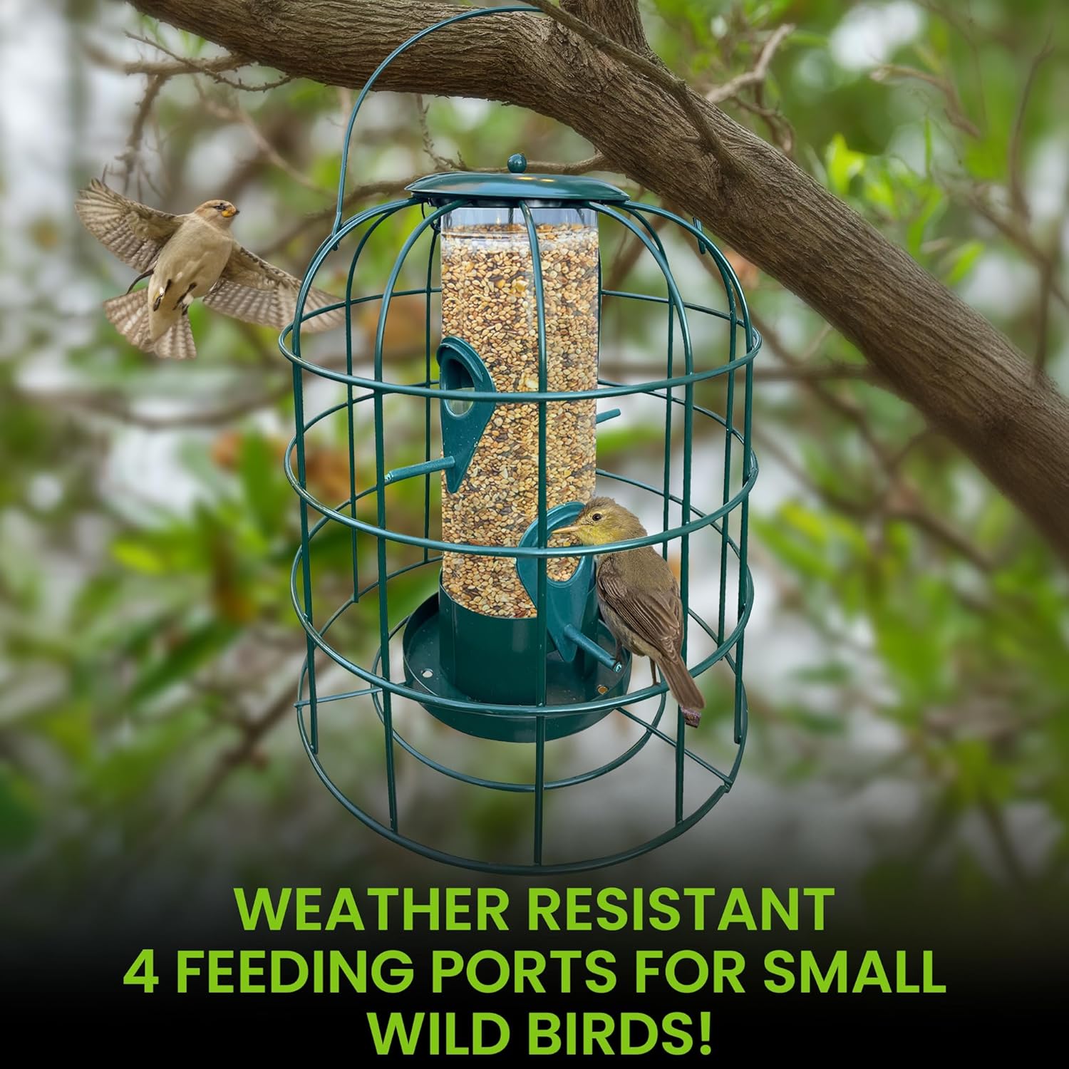 Garden Guru Squirrel Resistant Tube Bird Feeder | Heirloom Boulevard