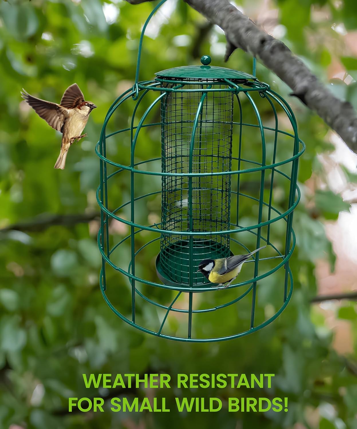 Garden Guru Squirrel Resistant Mesh Tube Bird Feeder | Heirloom Boulevard