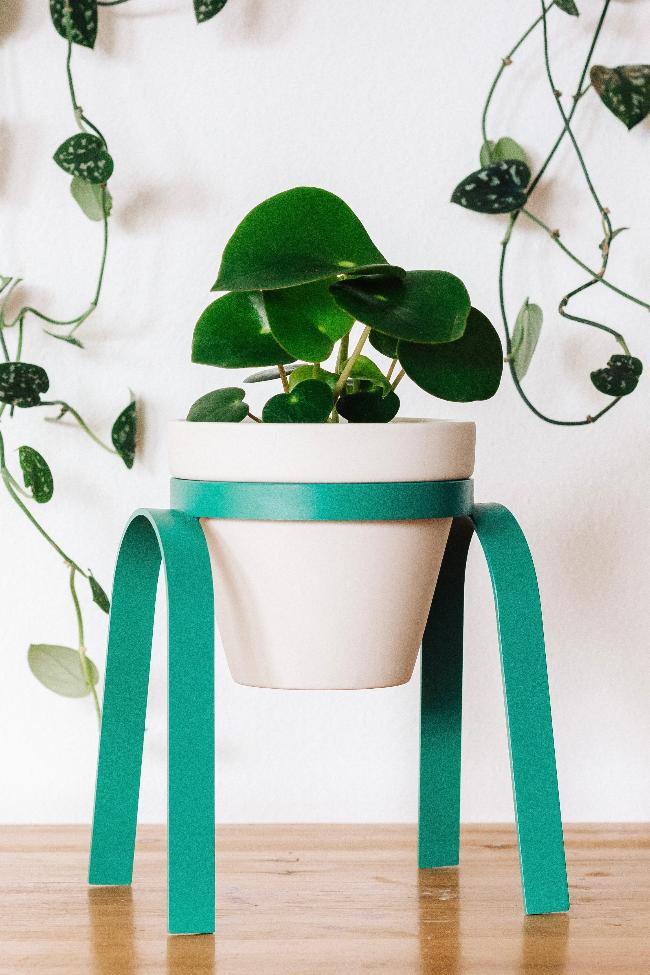 Perch Metal Plant Stand Carter + Rose | Heirloom Boulevard