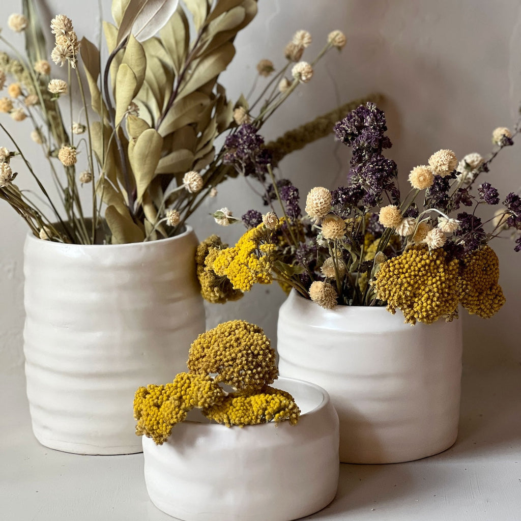 Bloomist Dried Natural Yarrow | Heirloom Boulevard