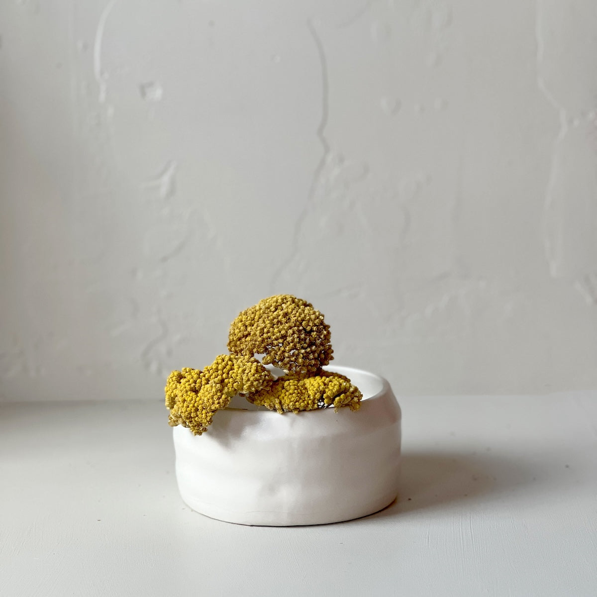 Bloomist Dried Natural Yarrow | Heirloom Boulevard