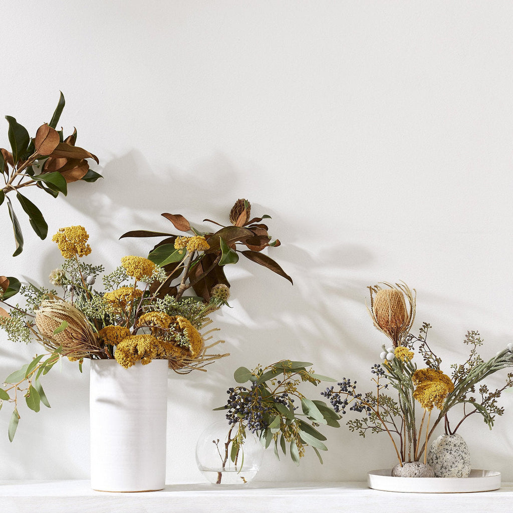 Bloomist Set of Three Dried Natural Banksia | Heirloom Boulevard