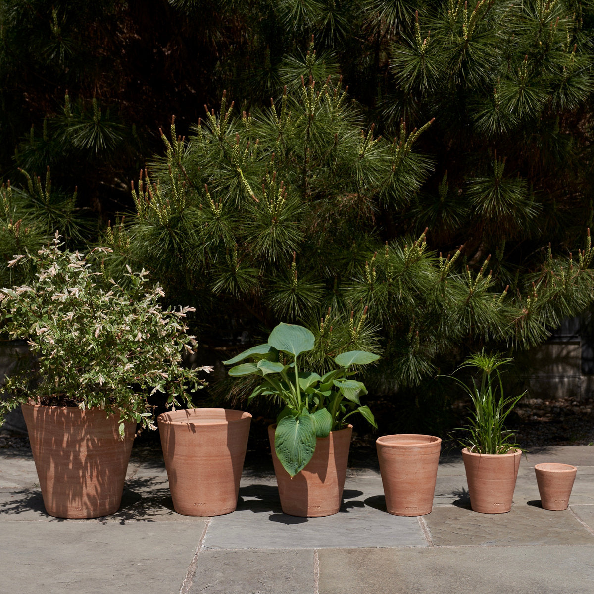 Bloomist Whitewash Terracotta Studio Planter | Heirloom Boulevard