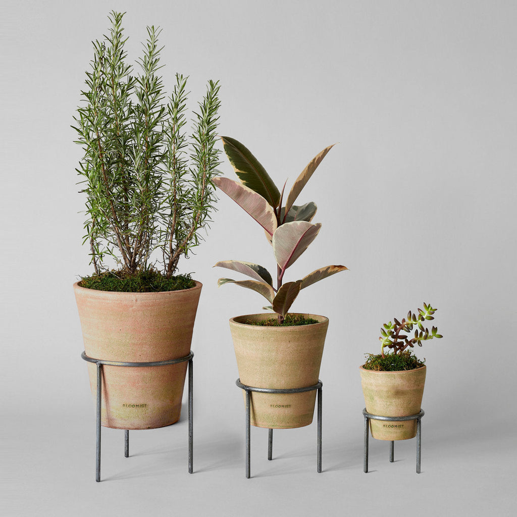 Bloomist Greenwash Terracotta Studio Planter | Heirloom Boulevard
