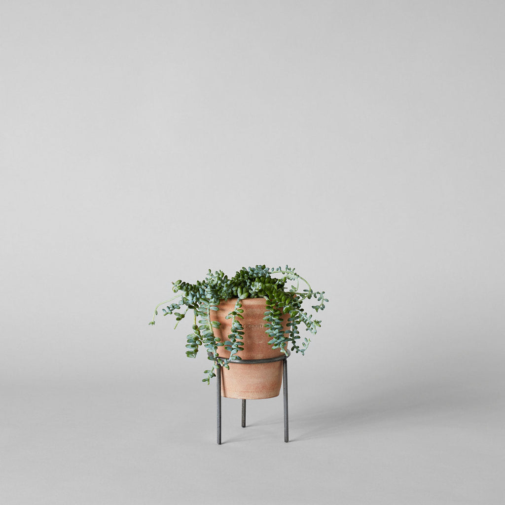 Bloomist Wrought Iron Planter Stand Medium | Heirloom Boulevard