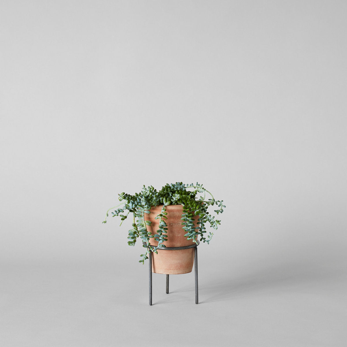 Bloomist Wrought Iron Planter Stand Medium | Heirloom Boulevard
