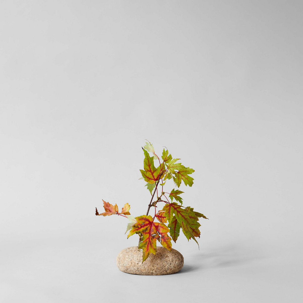 Oval Stone Frog | Heirloom Boulevard