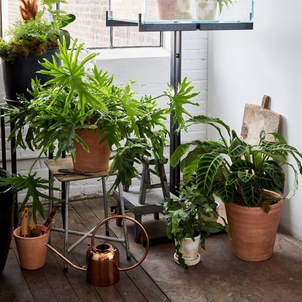 Bloomist Whitewash Terracotta Studio Planter | Heirloom Boulevard