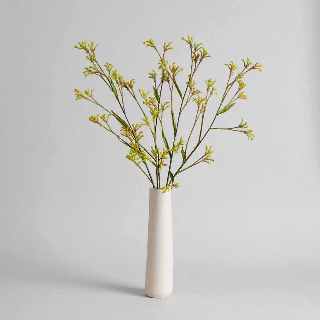 Bloomist Off-White Novah Pitcher | Heirloom Boulevard