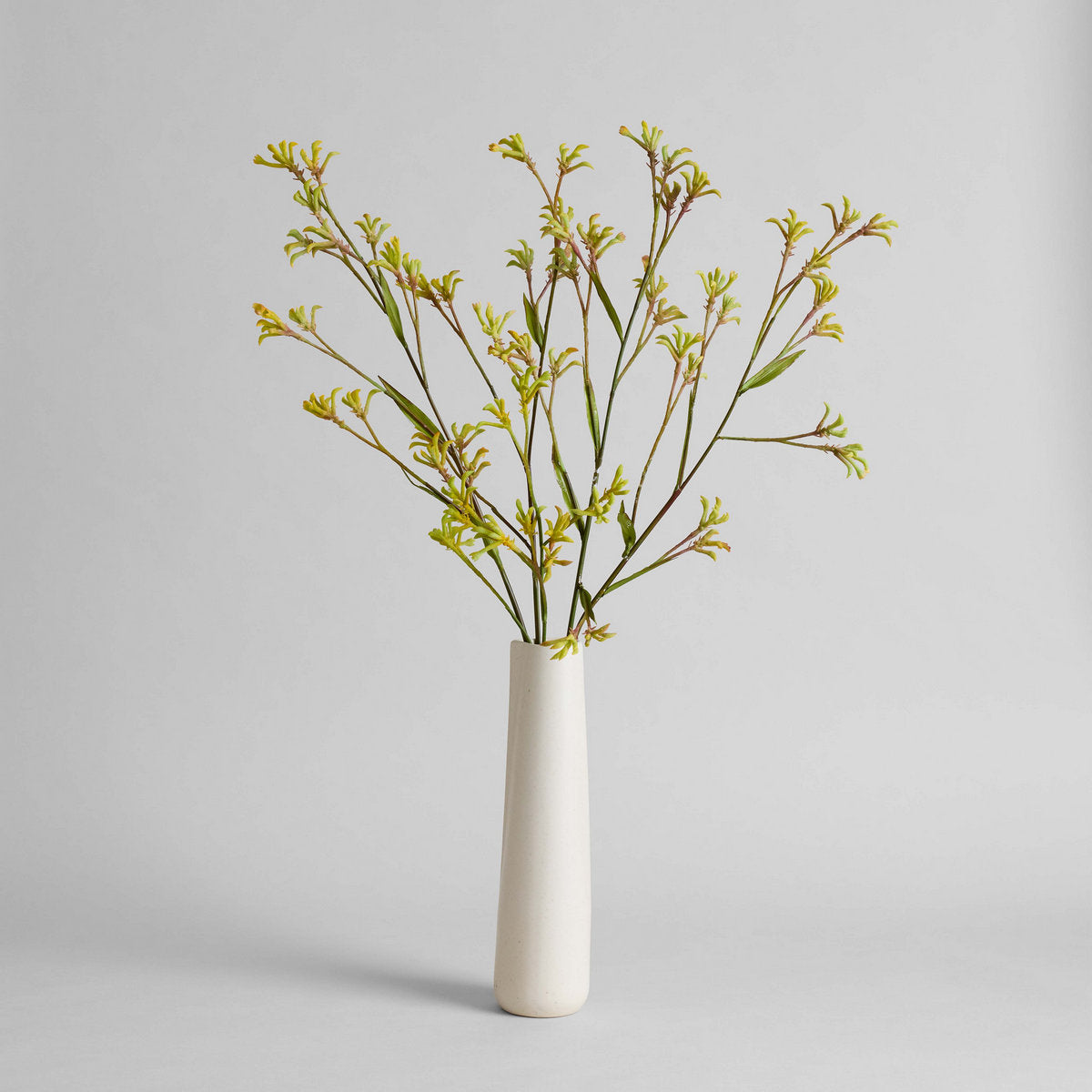 Bloomist Off-White Novah Pitcher | Heirloom Boulevard