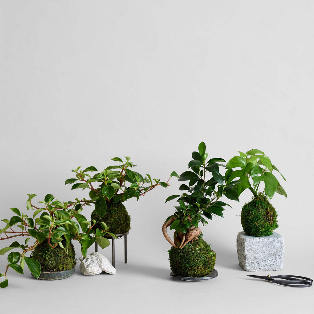 Granite Stand | Heirloom Boulevard