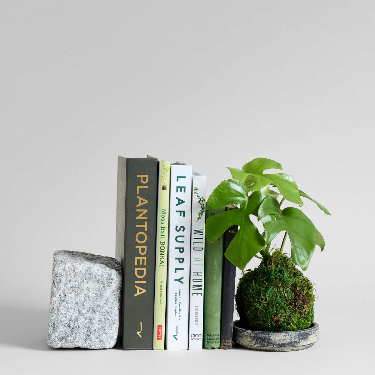 Granite Stand | Heirloom Boulevard