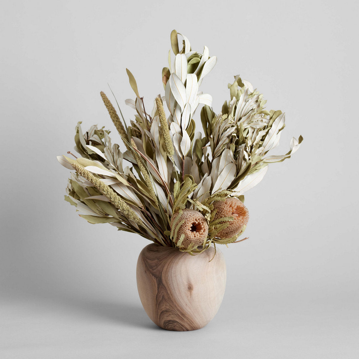 Bloomist Set of Three Dried Natural Banksia | Heirloom Boulevard