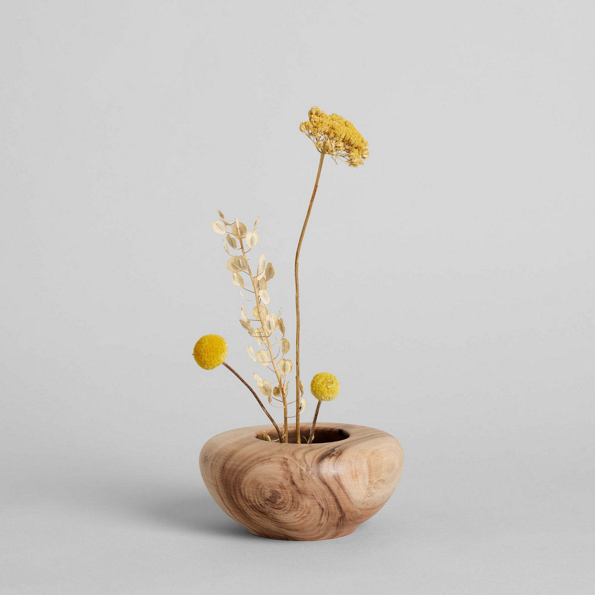 Bloomist Dried Natural Yarrow | Heirloom Boulevard