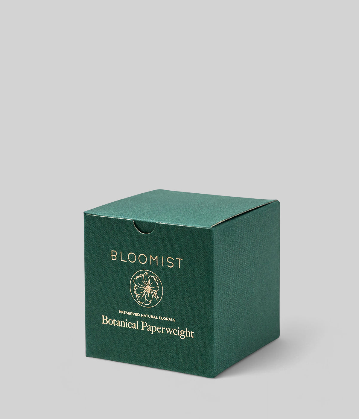 Bloomist Dandelion Botanical Resin Paperweight | Heirloom Boulevard