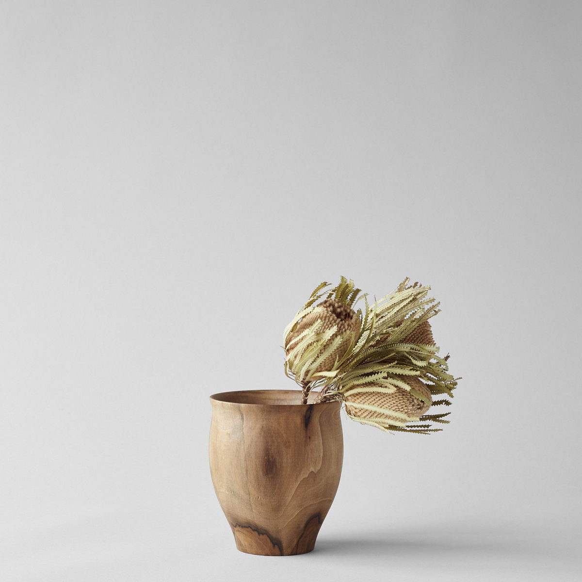 Bloomist Set of Three Dried Natural Banksia | Heirloom Boulevard